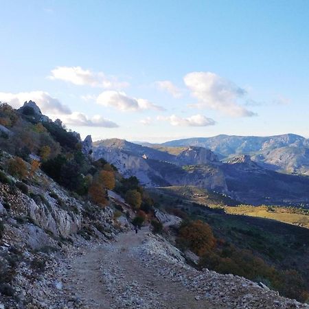 Tarifa 4 Leilighet Alicante Eksteriør bilde